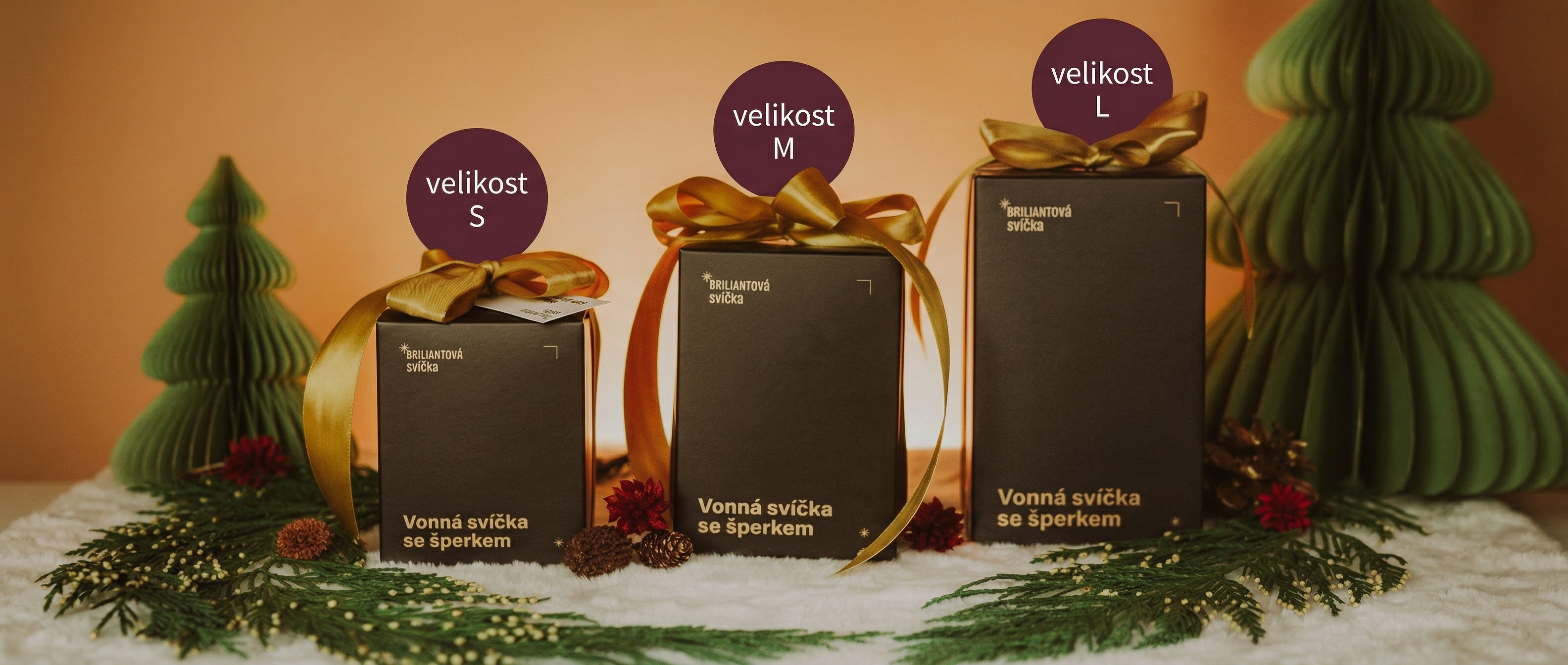 image - 2026-04-08T211926.028